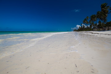 Zanzibar, landscape sea, palms beach