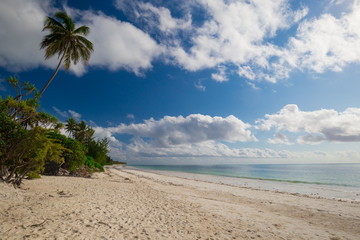 Zanzibar, landscape sea, palms beach