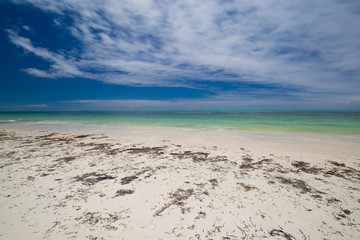 Zanzibar, landscape sea, white sand