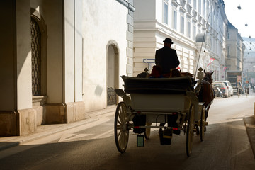 Horse carriage on old city street