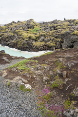 Fototapeta na wymiar Landschaft an der blauen Lagune 
