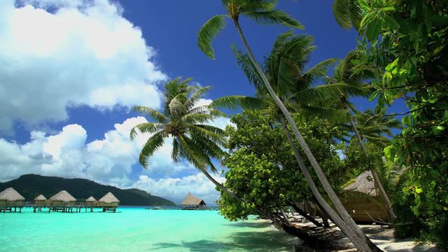 Beach Palm trees Overwater Bungalows in tropical aquamarine lagoon a luxury vacation resort in Bora Bora South Pacific French Polynesia