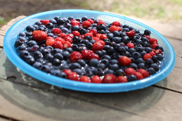 Fresh berries in a bowl