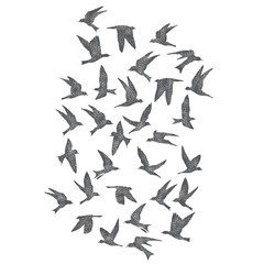 Silhouette of city flying birds on white background. Inspirational body flash tattoo ink. Set of textured stipple grey birds fly swallows, hand made. Vector.