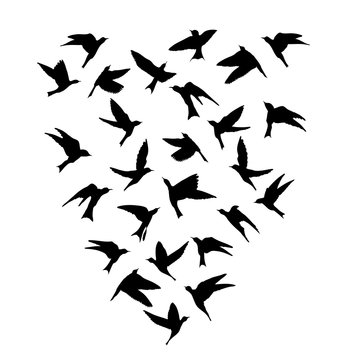 Silhouette of flying birds on white background. Inspirational body flash tattoo ink. Vector.