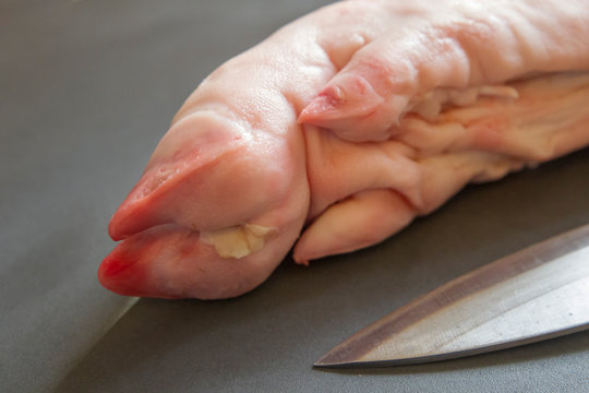 Chopped off foot of a slaughtered domestic pig prepared for further processing