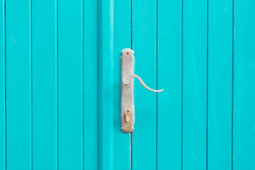 Silver metal door handle on a blue doors. 