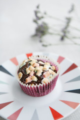 Chocolate Marshmallow Muffin on Colorful Plate