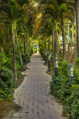 Green way to the beach garden