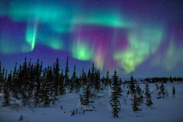 Colorful Aurora Borealis Display