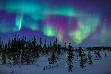 Fotobehang Kleurrijk Aurora Borealis-display © davidmarx