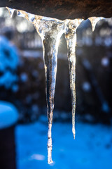 Fototapeta na wymiar Icicles in winter close up