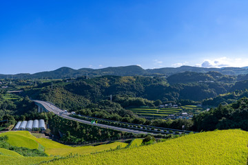 [長崎県]田舎の田園風景