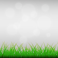 Obraz premium Green grass background