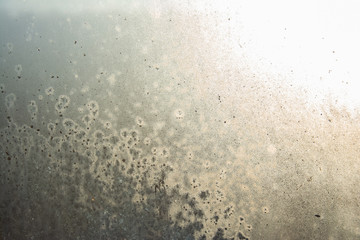 Frosted glass in winter