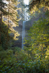 Waterfall in Oregon surrounded by lush foliage
