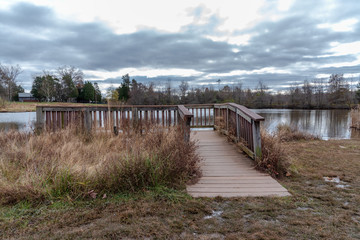 Fototapeta na wymiar Observation Station by a Pond