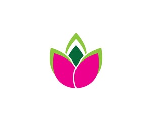 Beauty Vector Lotus flowers design logo Template