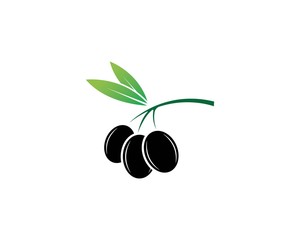 black olive oil with green leaf icon vector