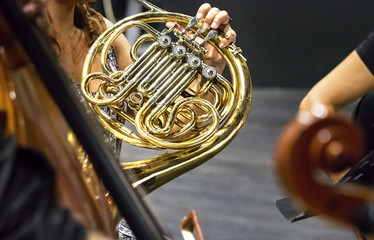 Female musician playing french horn during a live performance.