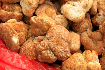 hericium