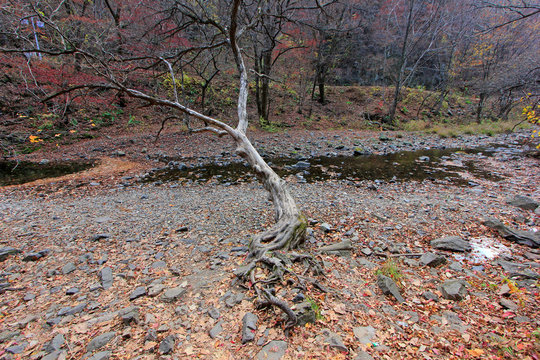 GuanMenShan scenic spot natural landscape