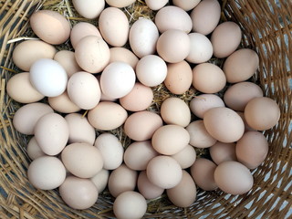 Frische Eier vom Bauern auf Stroh in einem großen Korb auf dem Markt und Basar im Sommer in der...