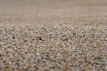 Fototapeta na wymiar Sandy beach texture.