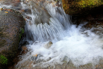 rock and creek