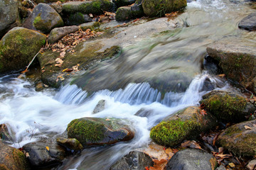 rock and creek