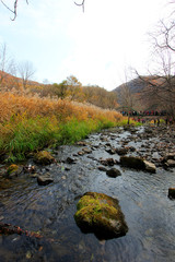 rock and creek in a geological park