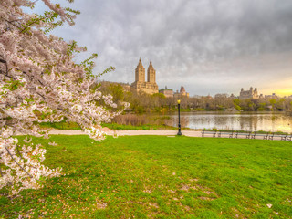 Central Park, New York City in spring