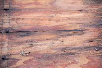 Wood Texture