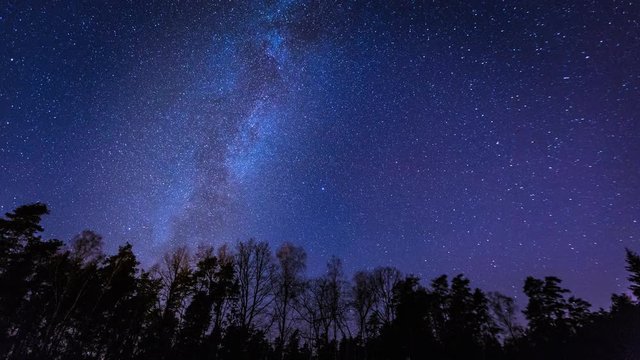 Starry night sky with Milky Way over forest. 4k time lapse