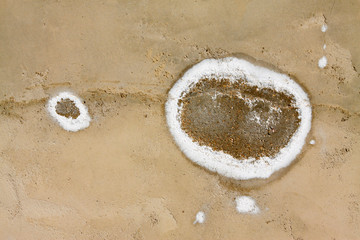 white salted texture on cement wall