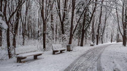 Winter Landscape of South Park with snow covered trees in city of Sofia, Bulgaria