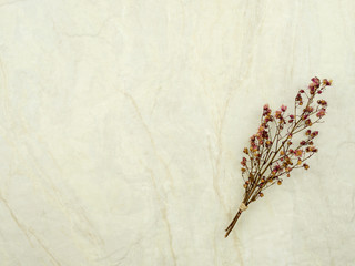 Top view bouquet of dried and wilted red Gypsophila flowers on matt marble background with copy space