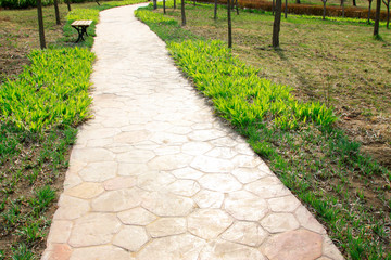 Path and green plants in a park