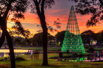Christmas tree in the Barigui Park.