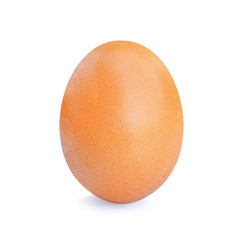 egg on white background