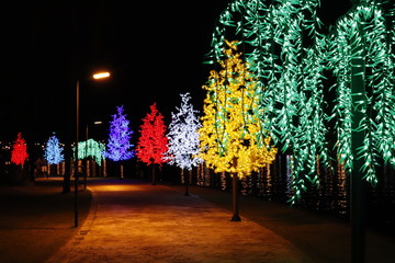 christmas tree in the city