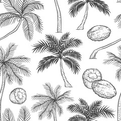 Fototapeta na wymiar Vector seamless pattern of palm. Different black white kinds of tropical palmtrees and coconut. Contour sketch background monochrome isolated on white background.