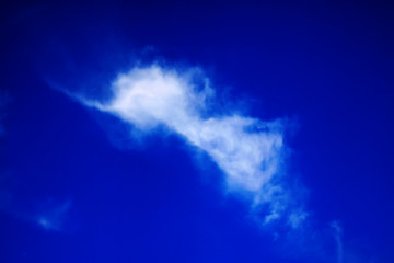 Fototapeta premium blue sky and white clouds