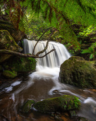 Leura Cascades © Brendon @btellus