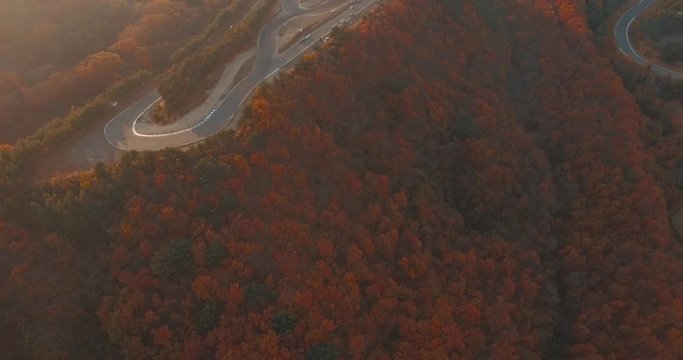 Aerial Drone Shot of a Large Race Track Nestled in a Sea of Orange Trees in the Mountains of Japan.