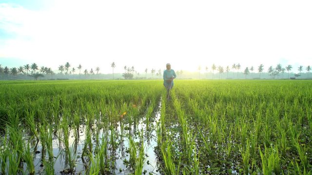 Female manual worker with irrigation tool farming Indonesian rice fields Java 