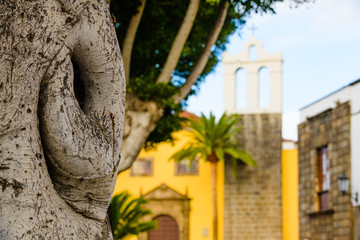 On the street in the old town of Garachico.Tenerife. Canary Islands..Spain