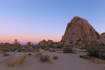 Dramatic landscape at sunrise in Joshua Tree National Park, California USA. A beauty of vegetation and rugged rock formations in the high desert.