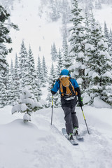 Fototapeta na wymiar Male skier freeride skitur uphill in snow in winter forest