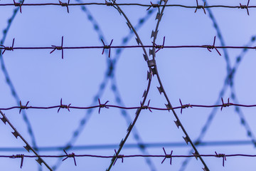 The barbed wire silhouette on the background of blue sky